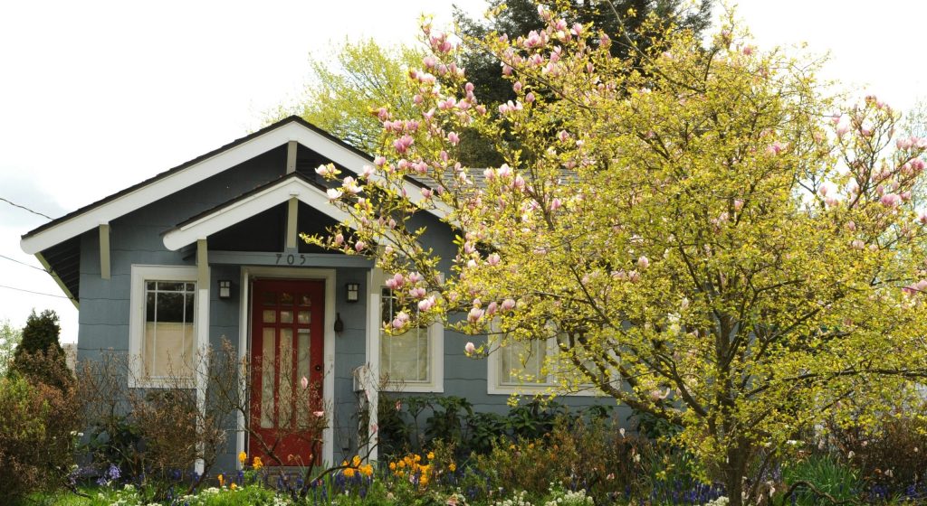 Haus in den Blumen Magnolie