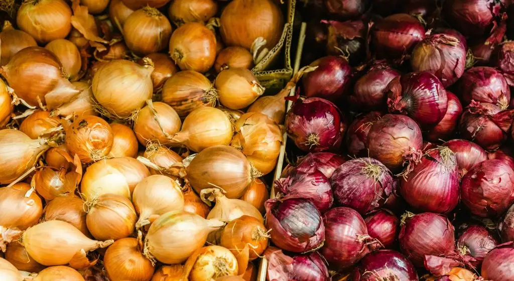 Weiße und rote Zwiebeln