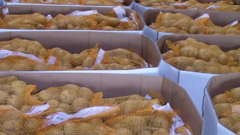 Gepackte Speisekartoffeln